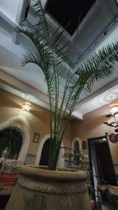 a plant in a large pot in a lobby at Riad Sidi Magdoul in Essaouira