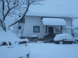 a house covered in snow with two cars parked in front at Apartments Dale in Plitvička Jezera +18 photos