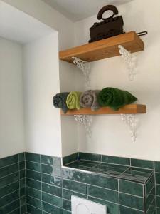 a bathroom with green tiles and shelves with towels at Ferienhaus Thonjoergl in Gnas