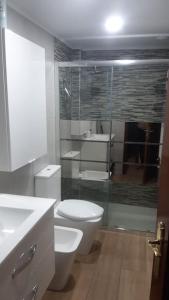 La salle de bains est pourvue de toilettes et d'une douche en verre. dans l'établissement Maravilloso apartamento en Torrejón de Ardoz, à Torrejón de Ardoz