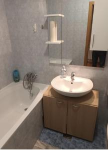 札格雷布的住宿－Odmor u Zagrebu，浴室配有盥洗盆和浴缸。