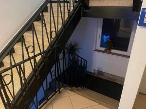 a staircase with a window and a potted plant at Hotel Am Wildpark in Sankt Ingbert