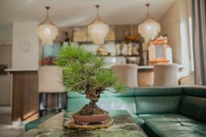 Posezení v ubytování Hotel Maj Inn