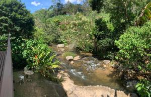 a stream in the middle of a forest with trees at Casa em Lumiar - Barulhinho do Rio in Lumiar