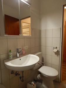 La salle de bains est pourvue d'un lavabo et de toilettes. dans l'établissement FREE Apartment - Am Brühlbach, à Bad Urach