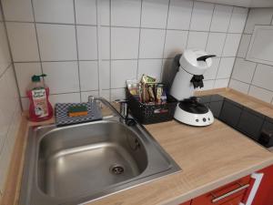 eine Küchentheke mit einer Spüle und einem Mixer in der Unterkunft FREE Apartment - Am Brühlbach in Bad Urach