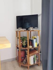 Telewizor na półce z książkami w obiekcie Frontignan au Clair de plage w mieście Frontignan