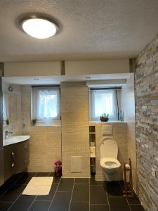 ein Bad mit einem WC und einem Waschbecken in der Unterkunft Appartement Wonder in Couvet