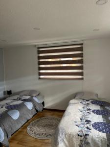 2 Betten in einem Schlafzimmer mit einem Fenster und einem Teppich in der Unterkunft Appartement Wonder in Couvet