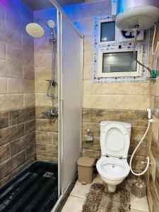 mała łazienka z toaletą i prysznicem w obiekcie 91 الميرلاند الدور 7 w Kairze