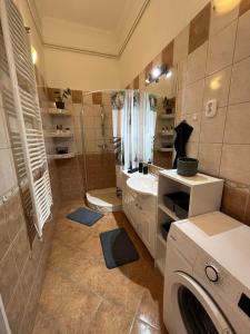 a bathroom with a sink and a washing machine at Szeged Apartman in Szeged