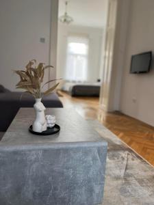 a vase with flowers on a table in a living room at Szeged Apartman in Szeged
