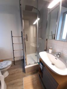 ein Bad mit einer Dusche, einem Waschbecken und einem WC in der Unterkunft charmant studio Beauvais proche centre, gare , et aéroport. in Beauvais