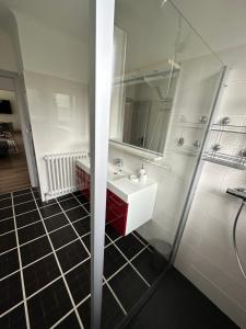 a bathroom with a white sink and a shower at Gîte d'Esila in Saint-Aignan