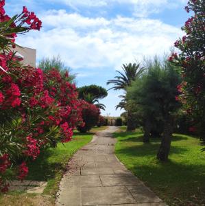 een pad door een tuin met roze bloemen bij Les Capitelles 97 - Studio vue mer - residence avec pisicne in Saint-Cyprien