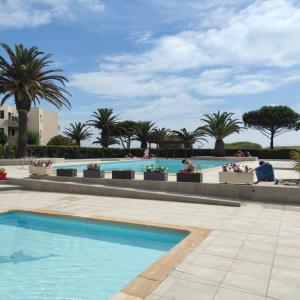 een zwembad met palmbomen op de achtergrond bij Les Capitelles 97 - Studio vue mer - residence avec pisicne in Saint-Cyprien