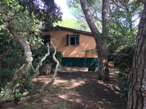 a house in the middle of a forest at VILLETTA CON SPIAGGIA PRIVATA ALLE DUNE in Castiglione della Pescaia