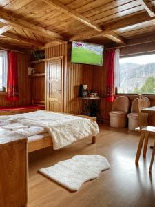 Televízia a/alebo spoločenská miestnosť v ubytovaní Z Giewontem w Tle Apart&Room