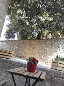a potted plant sitting on a bench next to a wall at La Torre in Santo Padre