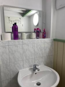 Łazienka z umywalką i różowymi butelkami na półce w obiekcie Mia w mieście Buchholz