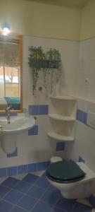 カバナス・デ・タビラにあるMAHGIC Beach Apartmentの青と白のバスルーム(トイレ、シンク付)