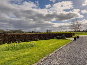 a garden with yellow daffodils and a hedge at Woodview Lodge in Trim
