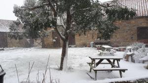 a picnic table covered in snow next to a tree at Thyme Cottage in Whitby