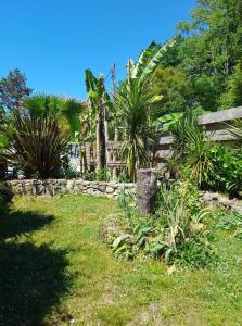 セニョスにあるCarwyns Surf Houseの椰子の木と柵のある庭園