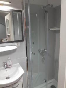 a bathroom with a shower and a sink at Willa Dniestrzanka in Krynica Zdrój