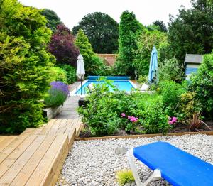 a garden with a blue bench and a swimming pool at Springwells House in Steyning