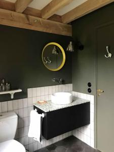 ein Badezimmer mit einem Waschbecken, einem WC und einem Spiegel in der Unterkunft La cabane de l'étang in Feings