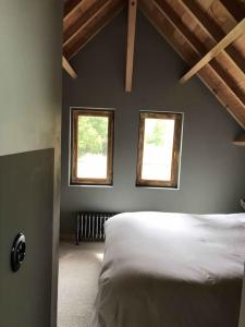 a bedroom with two windows and a white bed at La cabane de l'étang in Feings