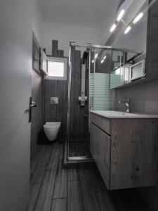 uma casa de banho com um chuveiro, um lavatório e um WC. em Villa Sakrakis seaview villa em Stavros