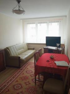 a living room with a couch and a table at Duże mieszkanie w Helu na Leśnej in Hel