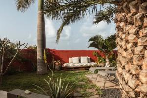 a patio with a couch and a palm tree at Papaya Cottage Punta del Hidalgo in Punta del Hidalgo