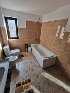 ein Badezimmer mit Badewanne, Toilette und Waschbecken in der Unterkunft Mister Guest in Nehoiu + 23 Fotos
