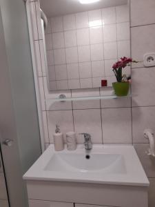 Koupelna v ubytování Apartma Lena + 7 fotografií