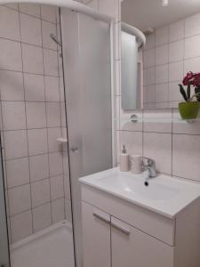 La salle de bains blanche est pourvue d'un lavabo et d'une douche. dans l'établissement Apartma Lena, à Kranjska Gora