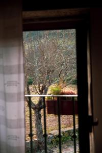 una ventana con vistas a un árbol en Casa Senhor da Ponte en Mondim de Basto