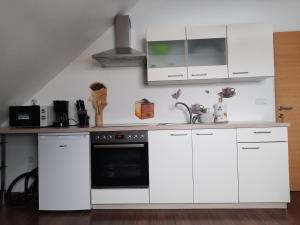 Kuchyň nebo kuchyňský kout v ubytování Apartma Lena