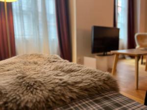 Televízia a/alebo spoločenská miestnosť v ubytovaní Charmant T3 - Cœur de Cauterets