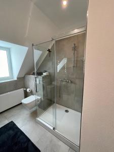 y baño con ducha de cristal y aseo. en Stadthaus Apartment Bachperle, en Mayen