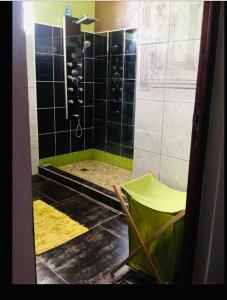 een badkamer met een douche met zwarte en groene tegels bij Villa Caraibes in Petit-Canal
