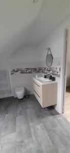 ein weißes Badezimmer mit Waschbecken und Toilette in der Unterkunft le Nid Douillet in Chènehutte-les-Tuffeaux