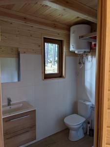 een badkamer met een toilet, een wastafel en een raam bij Lucky house Borsk in Borsk