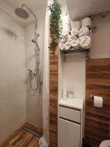 a bathroom with a shower and a toilet and towels at Robinson crusoe style house "MASLINA'' in Škrip