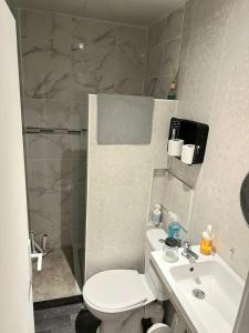 a bathroom with a toilet and a sink and a shower at L'Hermitage - piscine et mini golf in Saint-Nectaire +82 photos