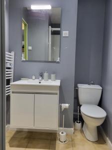 a bathroom with a toilet and a sink and a mirror at STUDIO DONDAINES in Lille