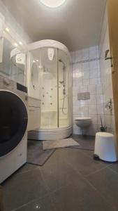 uma casa de banho com um chuveiro, um lavatório e um WC. em Samad Wohnen em Essen