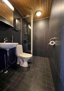 uma casa de banho com um WC e um lavatório em Hotelli Vuorikelo em Muurame